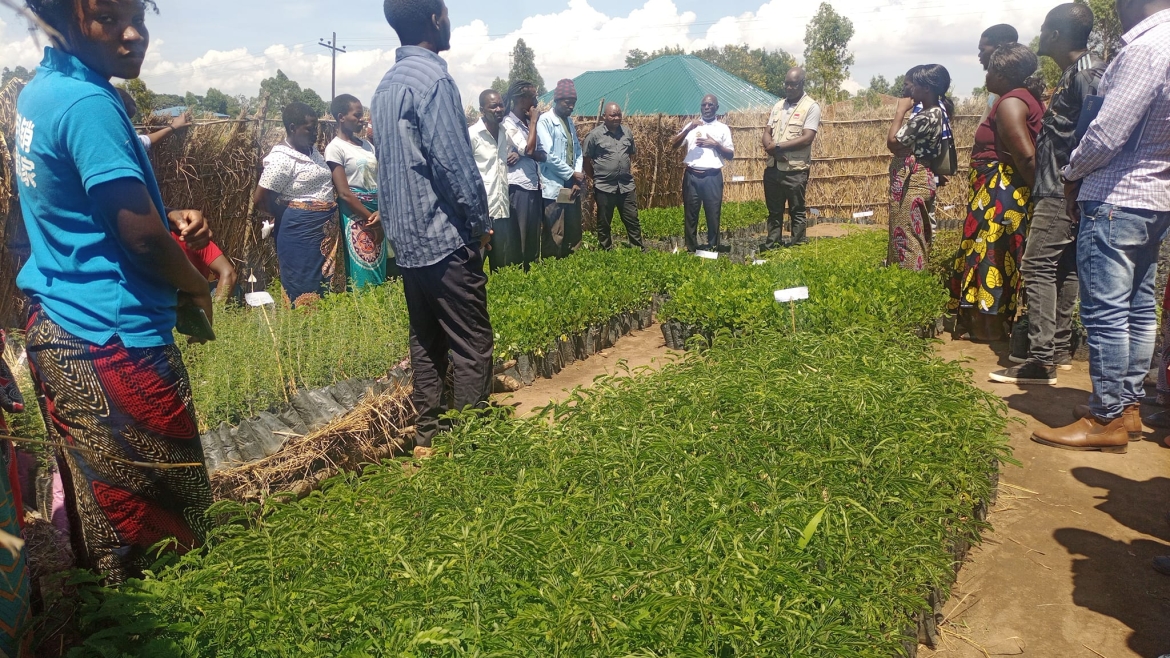 Official Handover Ceremony of Beekeeping Materials